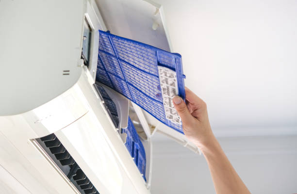 Best Affordable Duct Cleaning Services  in Wellington, FL